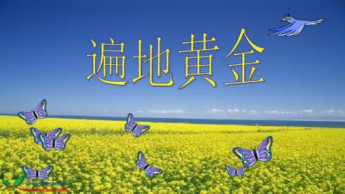 小学语文五年级下册《3遍地黄金》PPT课件 (2)