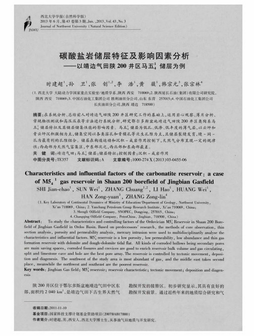 碳酸盐岩储层特征及影响因素分析——以靖边气田陕200井区马五4^1储层为例
