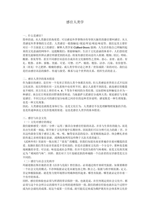感官人类学
