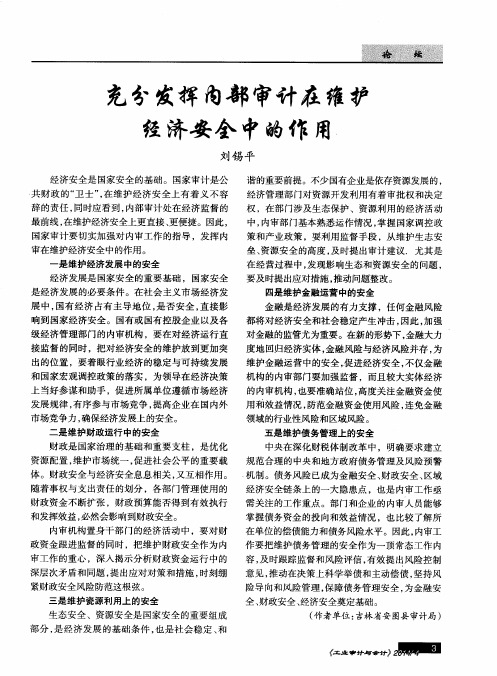 充分发挥内部审计在维护经济安全中的作用
