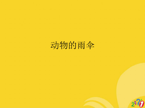 动物的雨伞标准文档ppt