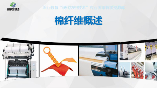 棉纤维概述ppt实用资料