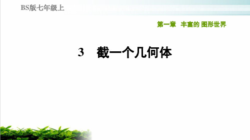 北师大版《截一个几何体》ppt课堂课件1