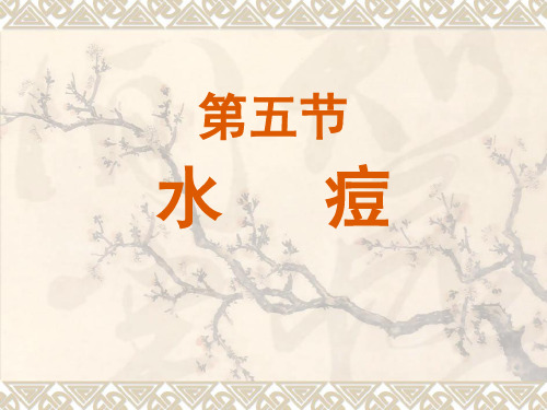 儿科中医-水痘