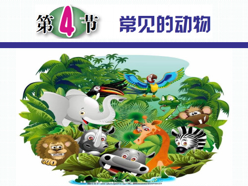 2.4常见的动物浙教版七年级科学上册课件