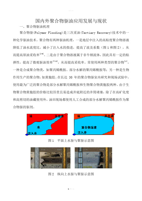 国内外聚合物驱油应用发展与现状