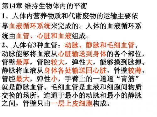 苏科版生物八上复习课件