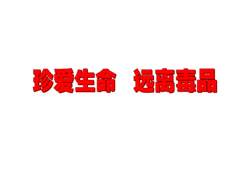 初中综合实践活动《会服务活动  5.参与禁毒宣传活动》培优课件_0