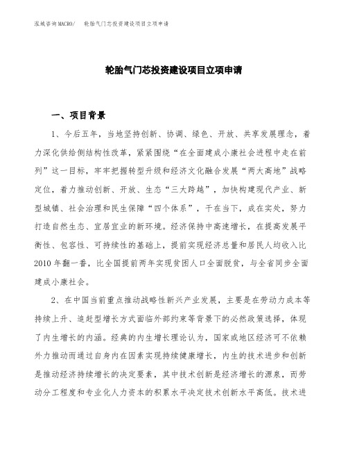 轮胎气门芯投资建设项目立项申请(样本)