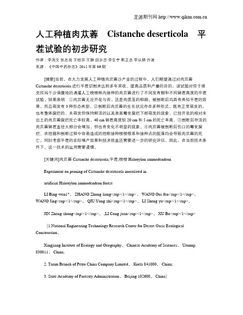 人工种植肉苁蓉
