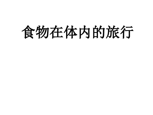 四年级上册科学课件食物在体内的旅行 教科版 (共11页)PPT