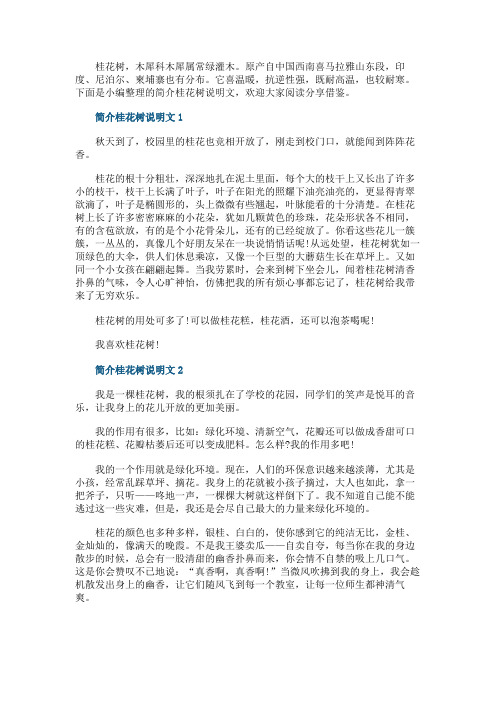 简介桂花树说明文