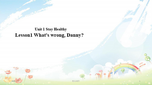 九年级英语上册 Unit 1 Stay Healthy Lesson 1 What’s wrong,Danny课件 (新版)冀教版