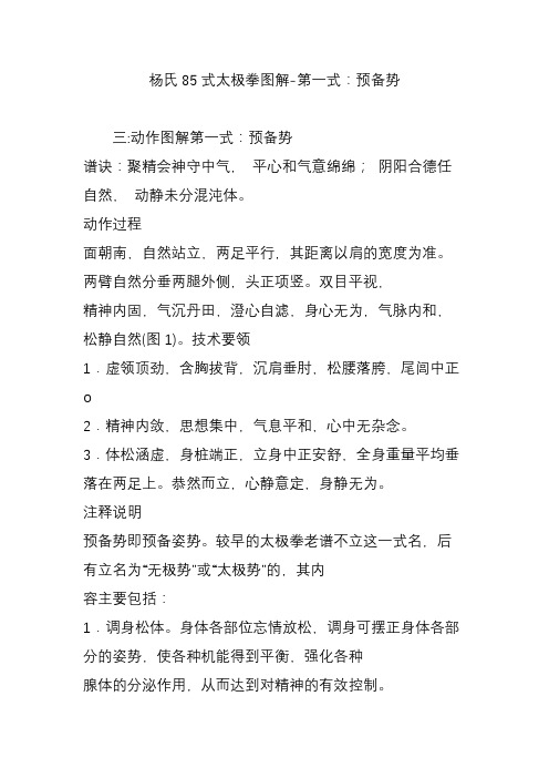 杨氏85式太极拳图解-第一式：预备势