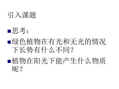 第一节光合作用的产物 课件-2021-2022学年冀少版生物八年级上册