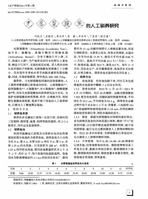 光唇裂腹鱼的人工驯养研究