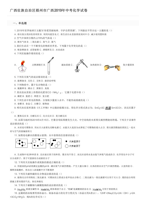 广西壮族自治区梧州市广西2019年中考化学试卷及参考答案