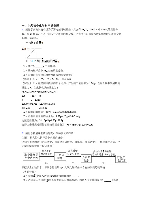 2020-2021备战中考化学探究题提高练习题压轴题训练含答案