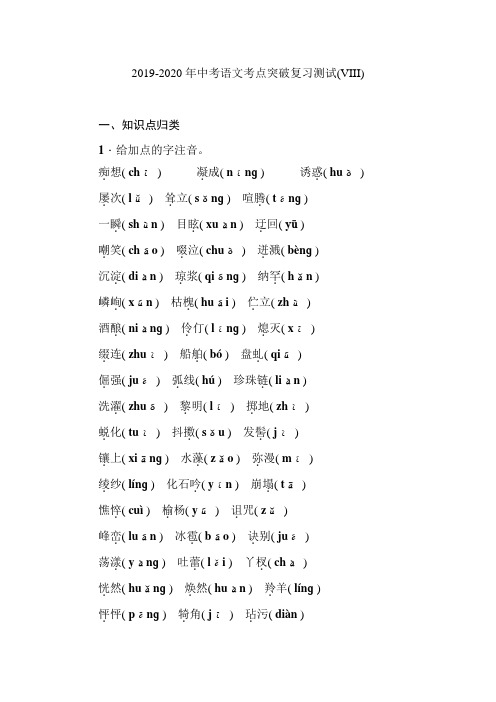 2019-2020年中考语文考点突破复习测试(VIII)