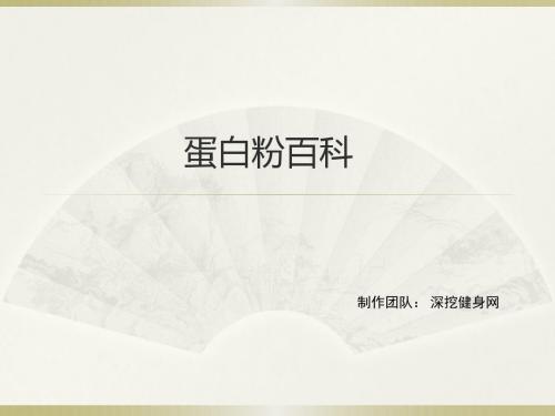 蛋白粉百科
