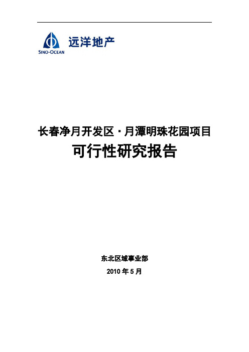 净月项目可行性分析报告