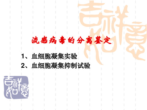 流感病毒分离鉴定