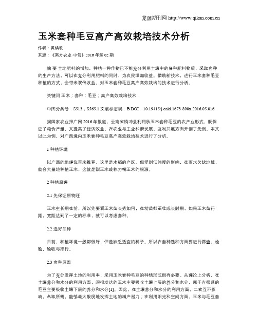玉米套种毛豆高产高效栽培技术分析