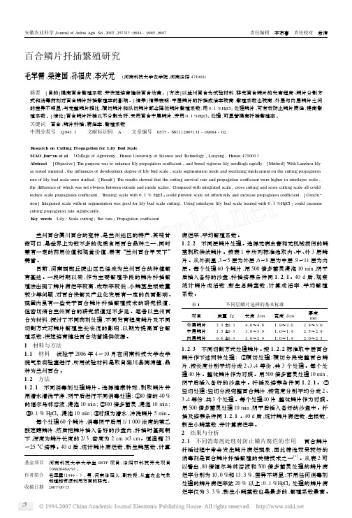 百合鳞片扦插繁殖研究