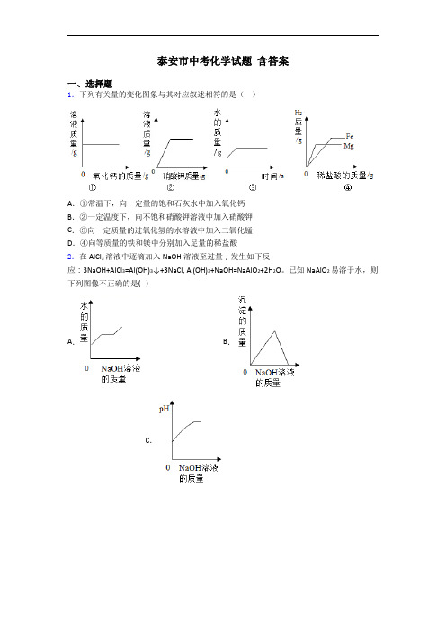 泰安市中考化学试题 含答案