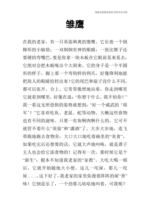 雏鹰_0