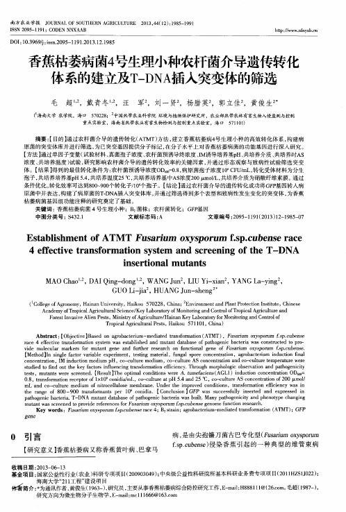 香蕉枯萎病菌4号生理小种农杆菌介导遗传转化体系的建立及T—DNA插入突变体的筛选