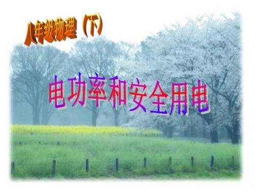 八年级物理电功率和安全用电2(中学课件2019)