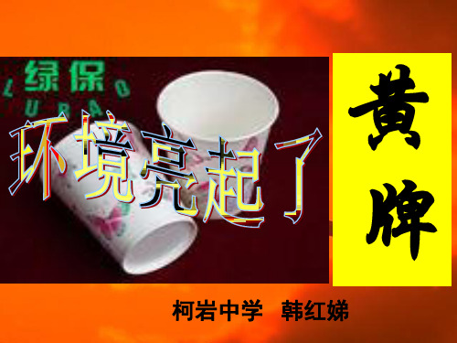 低质量低效益的增长方式粗放型与环境的关系主要表现经济