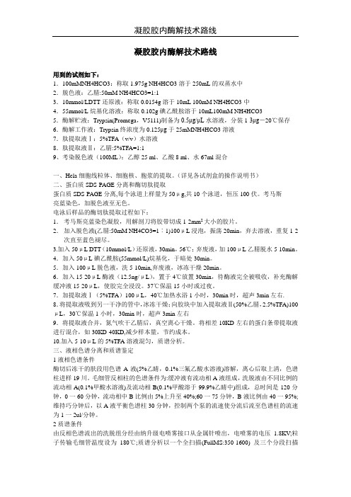 凝胶胶内酶解技术路线