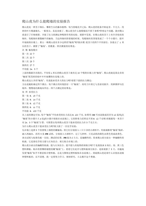 爬山虎为什么能爬墙的实验报告