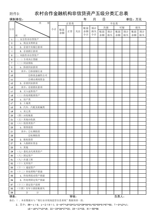 农村合作金融机构非信贷资产风险分类附表