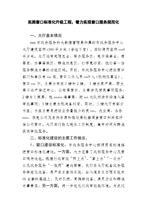 24         汇报材料0625窗口标准化建设
