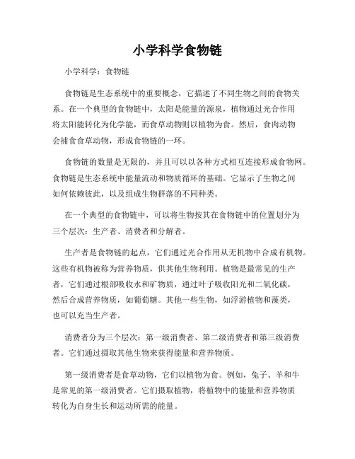 小学科学食物链