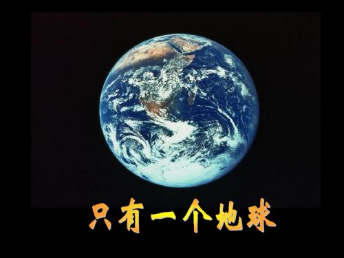 13-只有一个地球(很好用)课件