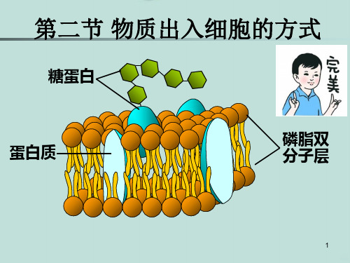 扩散和渗透PPT课件