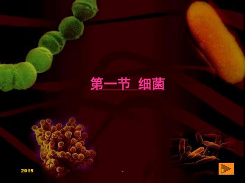 第五章常见微生物细菌ppt课件