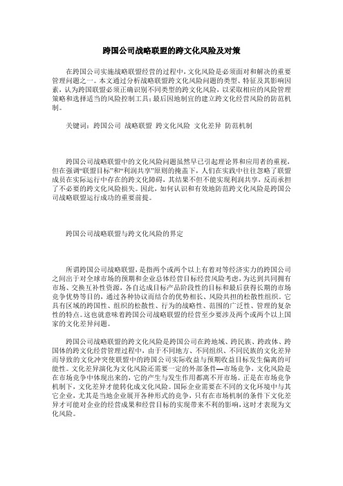 跨国公司战略联盟的跨文化风险及对策