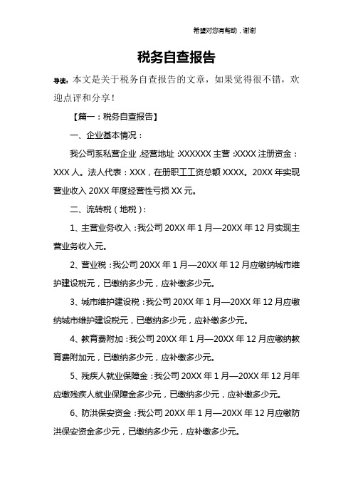 税务自查报告