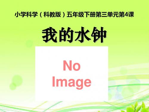 《我的水钟》时间的测量PPT课件3