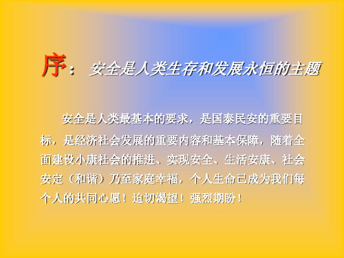 安全是人类生存和发展永恒的主题21页PPT