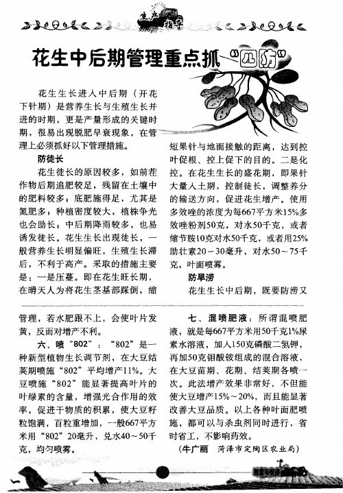 花生中后期管理重点抓“四防”