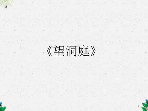 四年级下册语文课件-望洞庭_人教新课标