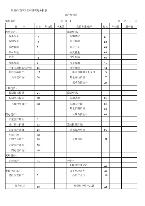 最新的民间非营利组织财务报表