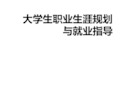 大学生职业生涯规划与就业指导第九章