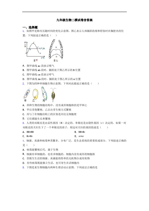 九年级生物二模试卷含答案